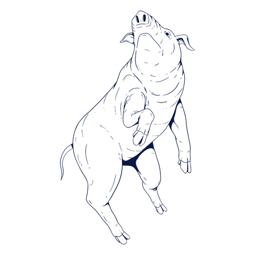 Cerdo animal del zodiaco chino Diseño PNG
