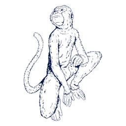 Monkey chinese zodiac PNG Design
