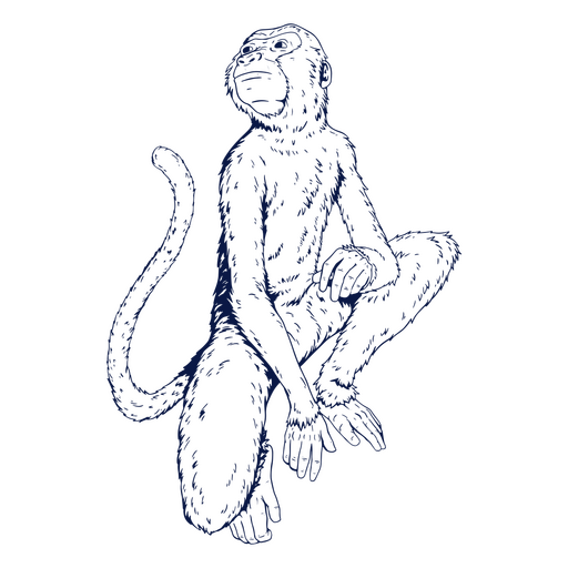 Mono zodiaco chino Diseño PNG