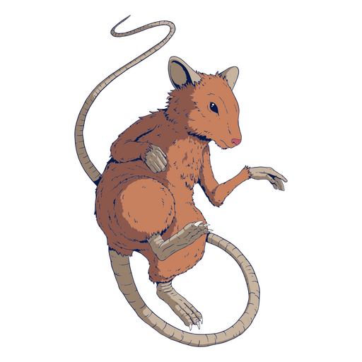 Rat colored chinese zodiac PNG Design