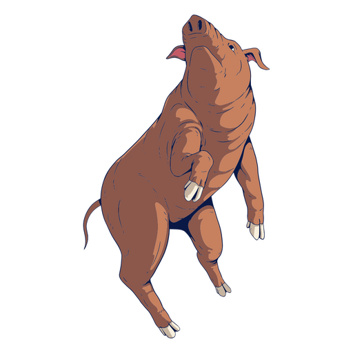 Zodíaco chino de color cerdo Diseño PNG