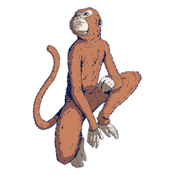 Zodíaco chinês colorido de macaco Desenho PNG