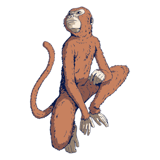 Monkey colored chinese zodiac PNG Design