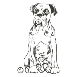 Cão boxer escondendo bolas de brinquedo Desenho PNG