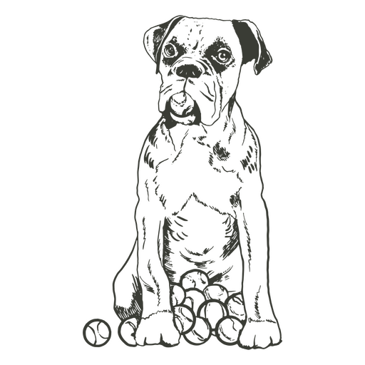 Boxerhund versteckt Spielzeugbälle PNG-Design