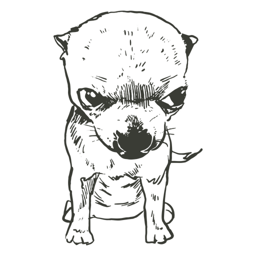 Angry chihuahua hand drawn PNG Design