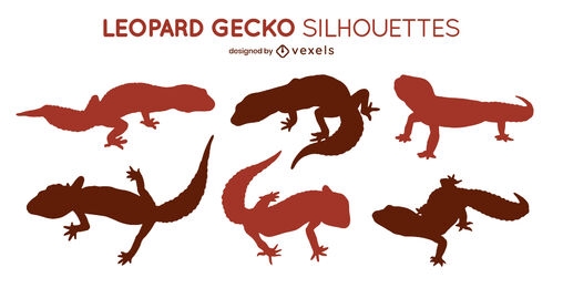 Conjunto de siluetas de geckos leopardo