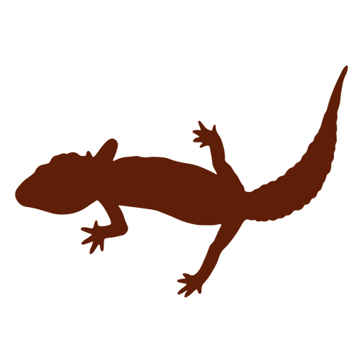 Silueta detallada de lagarto Gecko Diseño PNG