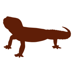 Gecko lizard looking up silhouette PNG Design Transparent PNG