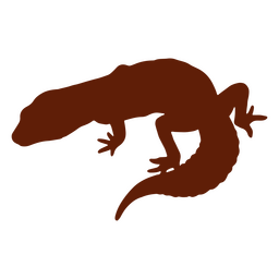 Gecko lizard silhouette  PNG Design