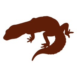 silhueta de lagarto de lagartixa Desenho PNG