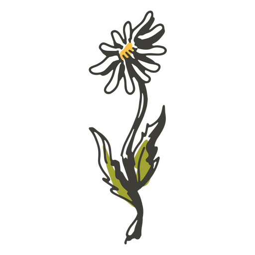 Gänseblümchen-Blume-Cottagecore-Symbol PNG-Design