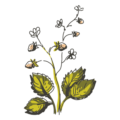 Erdbeerpflanze-Cottagecore-Illustration PNG-Design