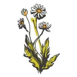 Ilustração de cottagecore de flores de margaridas Desenho PNG