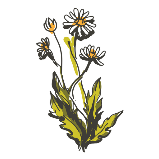 Daisies flowers cottagecore illustration PNG Design