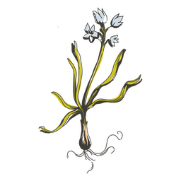 Cottagecore flowers icon PNG Design