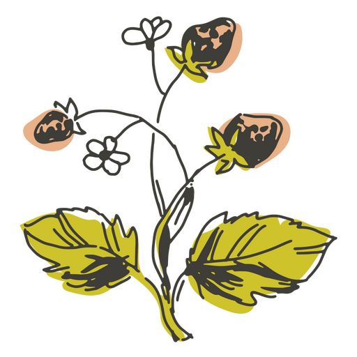 Ilustração detalhada do cottagecore de flores de morango Desenho PNG