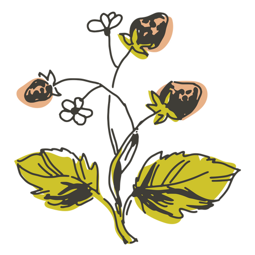 Ilustración detallada de la cabaña de flores de fresa Diseño PNG