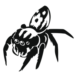 Detailed tarantula spider PNG Design Transparent PNG