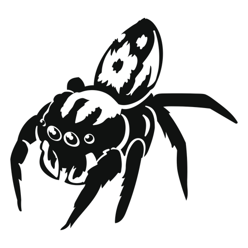 Aranha de tar?ntula detalhada Desenho PNG