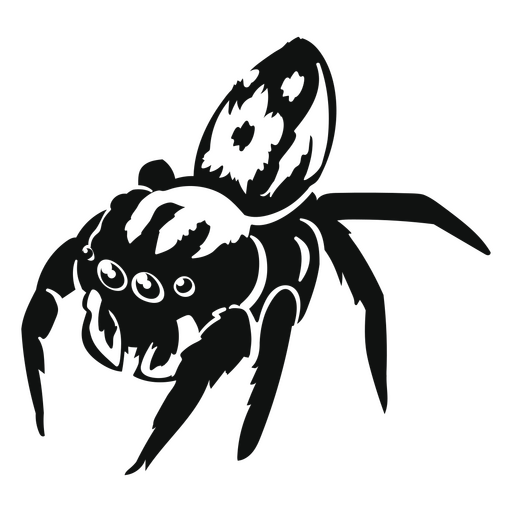 Aranha de tarântula detalhada Desenho PNG