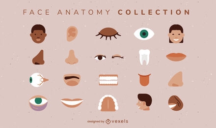 Conjunto de anatomía facial de partes del cuerpo humano