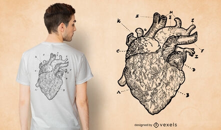 Diseño de camiseta con dibujo de corazón anatómico.