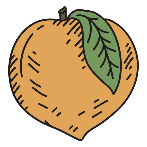 Peach fruit icon PNG Design