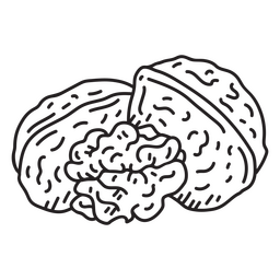 Cáscara de nueces detallada Diseño PNG