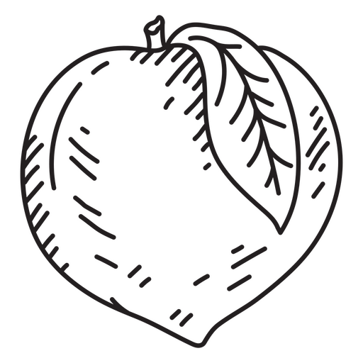 Peach fruit detailed icon PNG Design