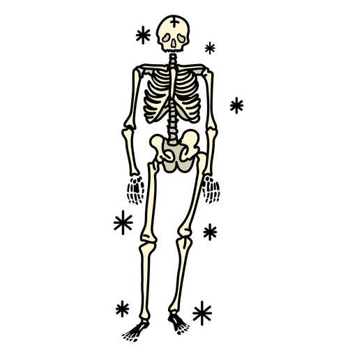esqueleto humano brillante Diseño PNG