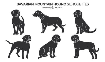 Conjunto de cães bávaros de caça da montanha