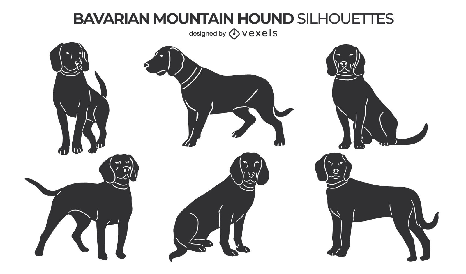 Bavarian Mountain Hound dogs set