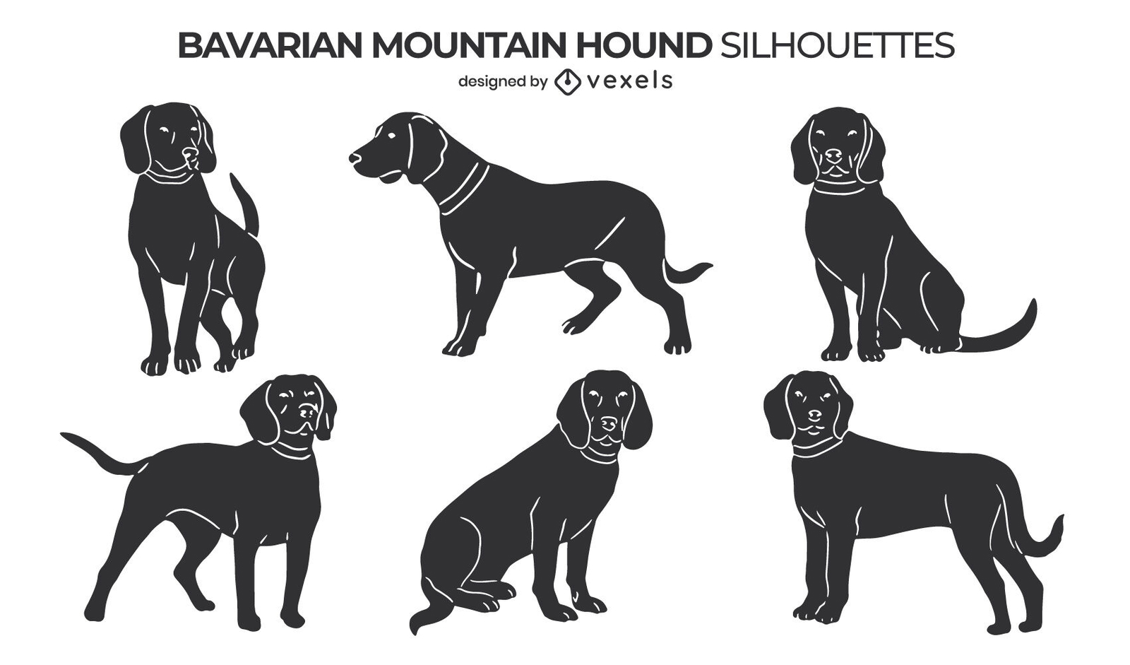 Conjunto de perros Bávaro Mountain Hound