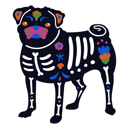 Vista frontal de vacaciones mexicanas de perro Pug Diseño PNG
