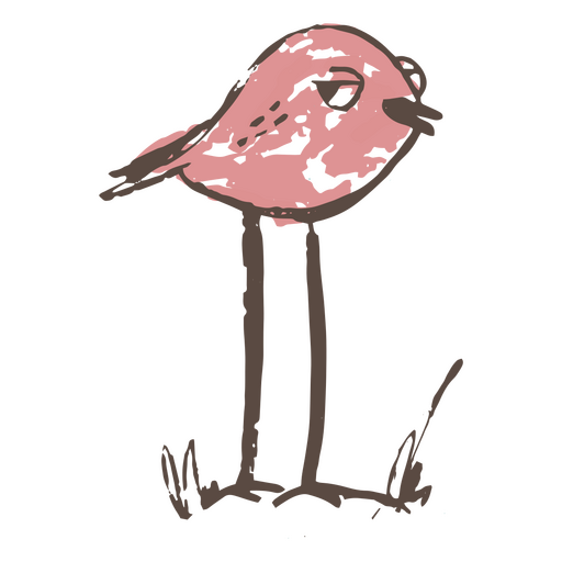 Diminuto pájaro dibujado a mano Diseño PNG