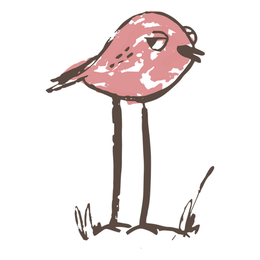 Tiny bird hand drawn PNG Design
