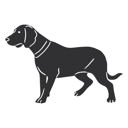 Bavarian mountain hound detailed silhouette PNG Design