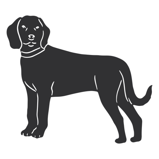 Cão de caça da montanha bávara olhando em linha reta Desenho PNG