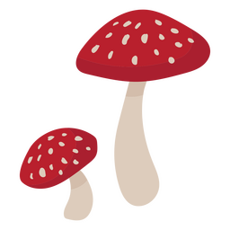 Dois cogumelos vermelhos fly agaric Desenho PNG