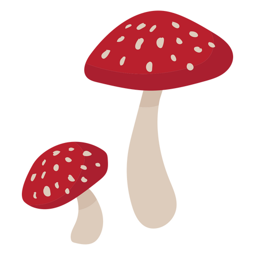 Dos champiñones rojos agárico de mosca Diseño PNG