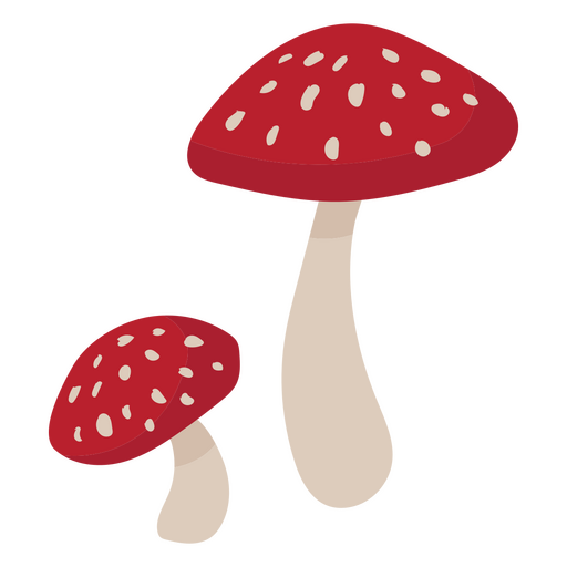 Two red mushrooms fly agaric PNG Design