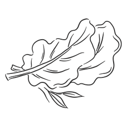 Alface deixa arte de linha Desenho PNG