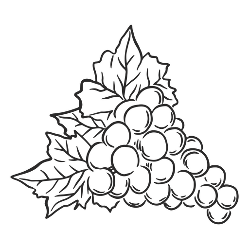 Weintraube Obst-Symbol PNG-Design