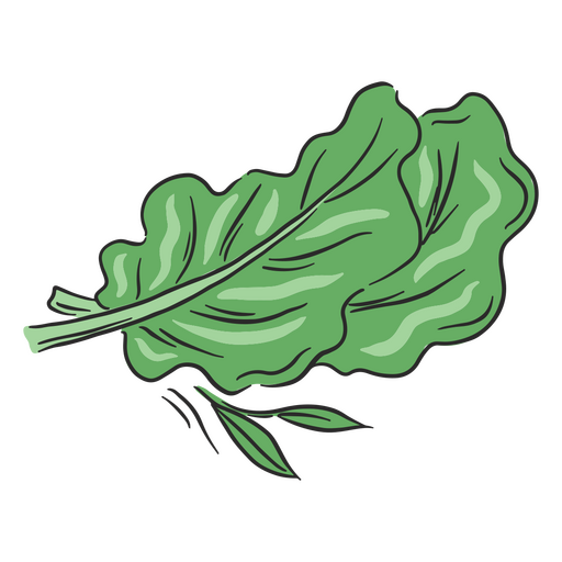 Lettuce food icon PNG Design