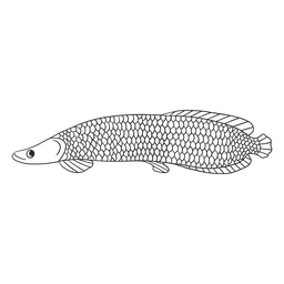 Arapaima-Fisch-Symbol PNG-Design
