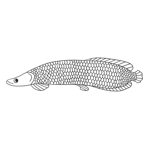 Icono de pez arapaima Diseño PNG
