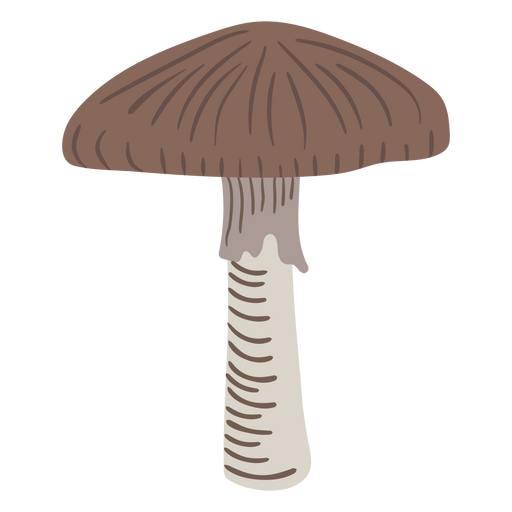 Icono detallado de hongos Diseño PNG