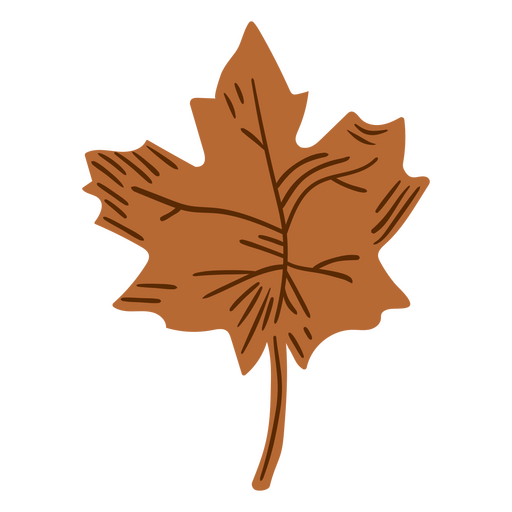 Autumn leaf detailed icon PNG Design
