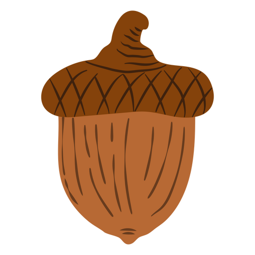 Acorn detailed icon PNG Design